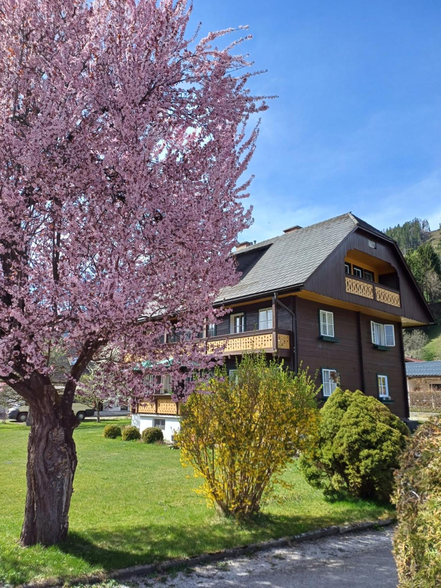 Appartement Steiner Schladming Bagian luar foto