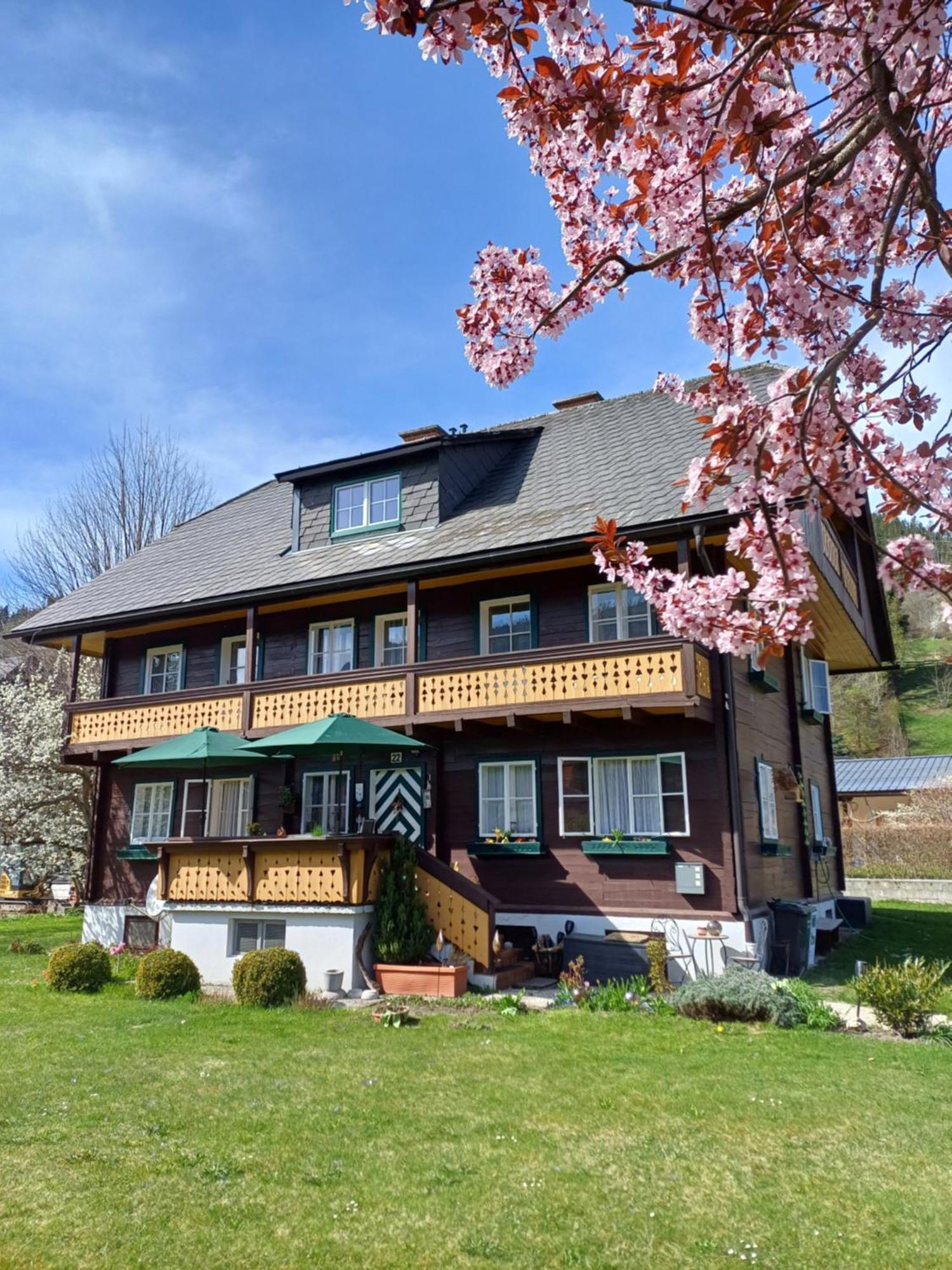 Appartement Steiner Schladming Bagian luar foto