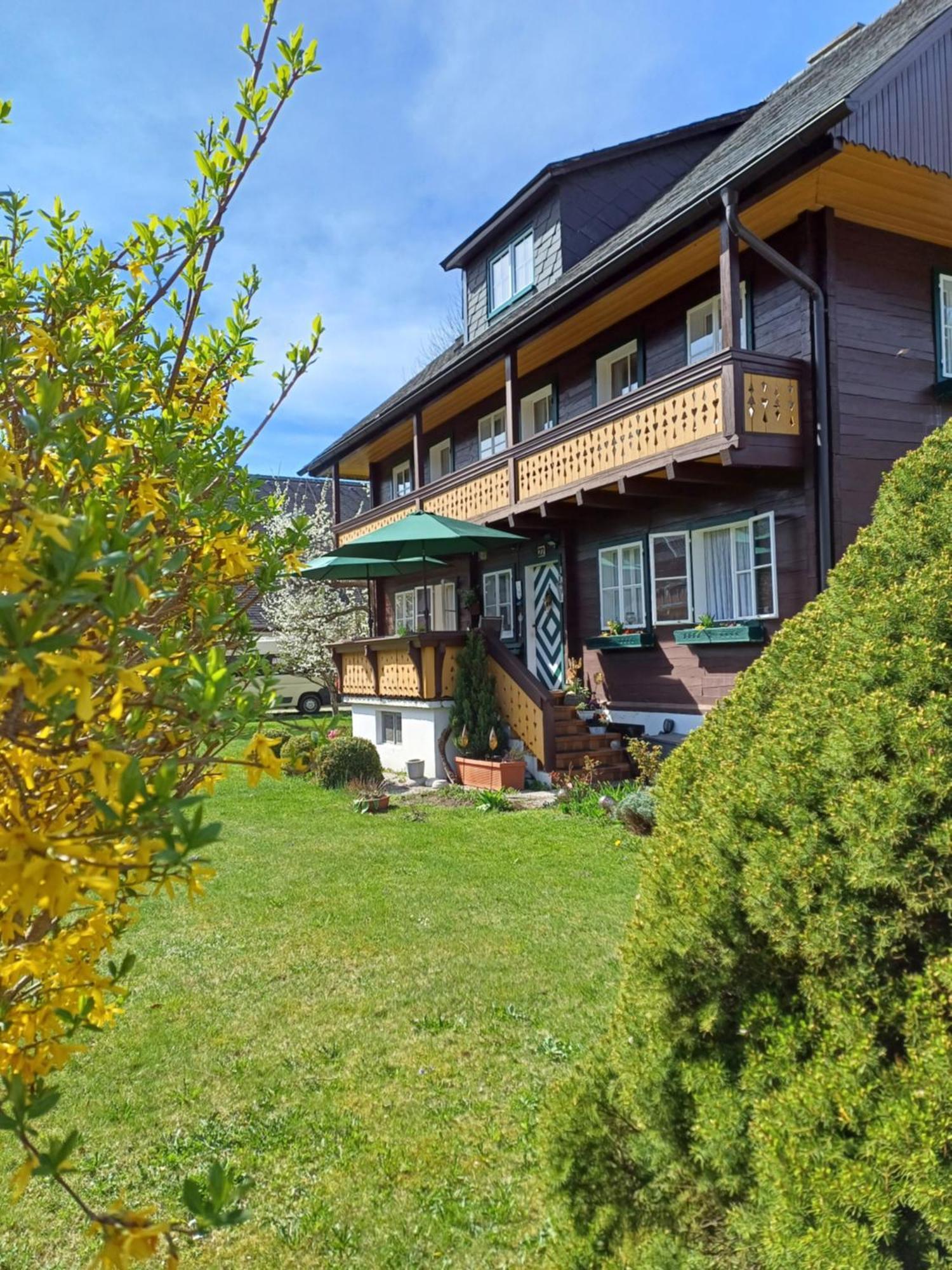 Appartement Steiner Schladming Bagian luar foto