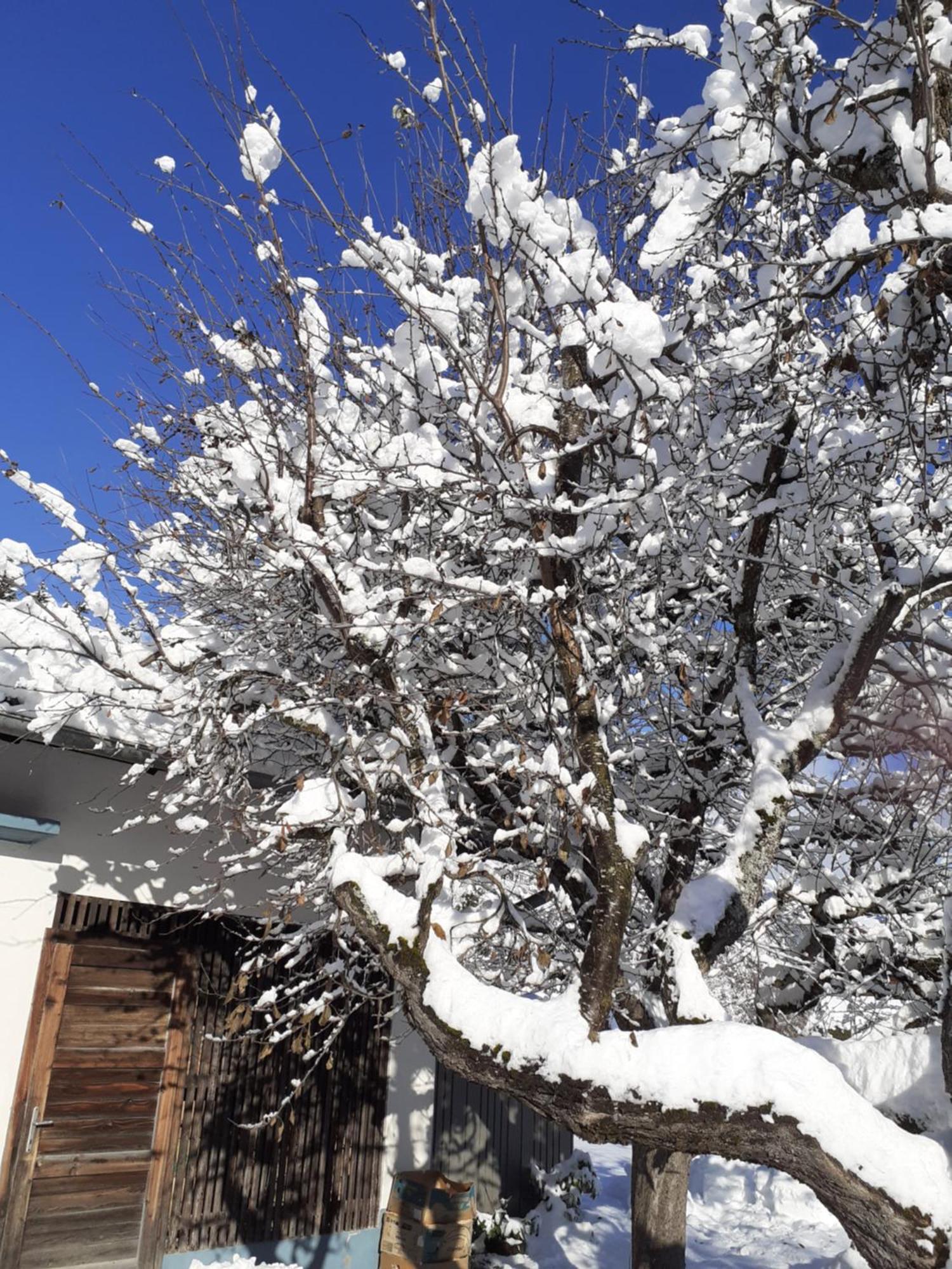 Appartement Steiner Schladming Bagian luar foto
